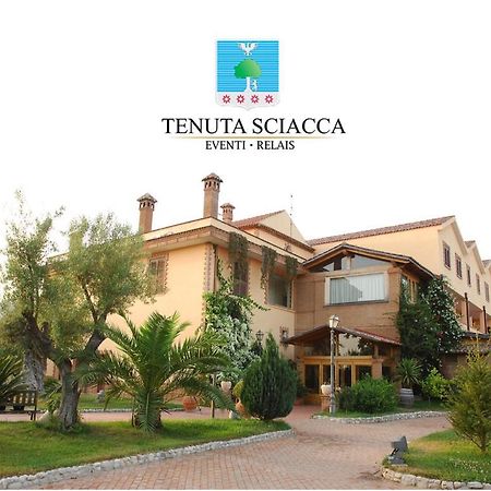 Tenuta Sciacca Villa Falciano del Massico Buitenkant foto