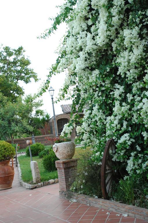 Tenuta Sciacca Villa Falciano del Massico Buitenkant foto