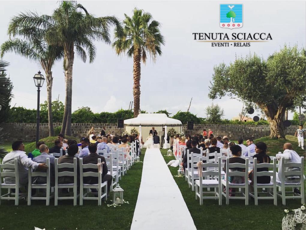 Tenuta Sciacca Villa Falciano del Massico Buitenkant foto