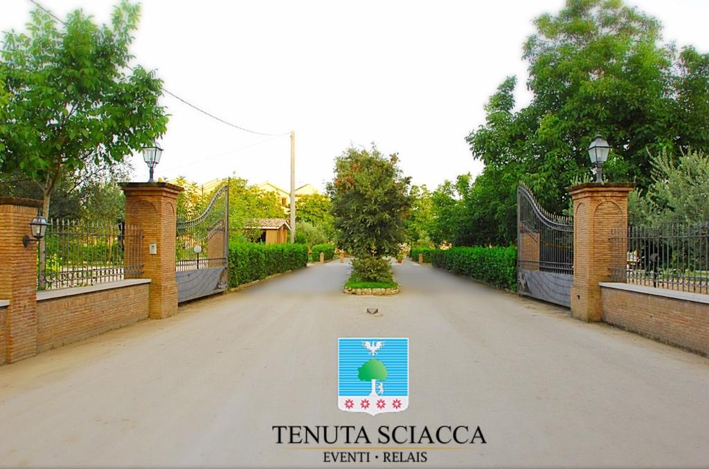 Tenuta Sciacca Villa Falciano del Massico Buitenkant foto
