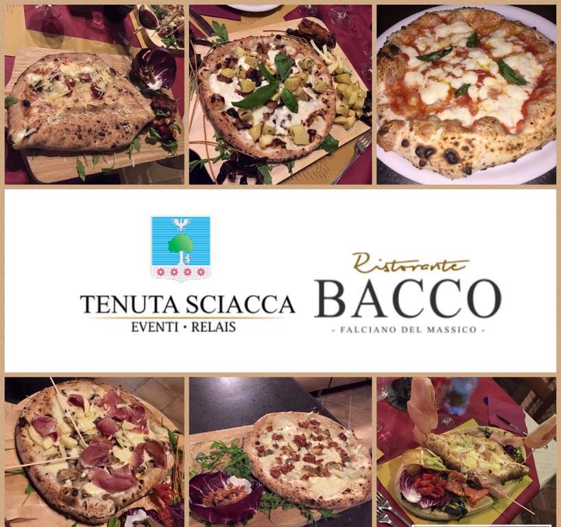 Tenuta Sciacca Villa Falciano del Massico Buitenkant foto