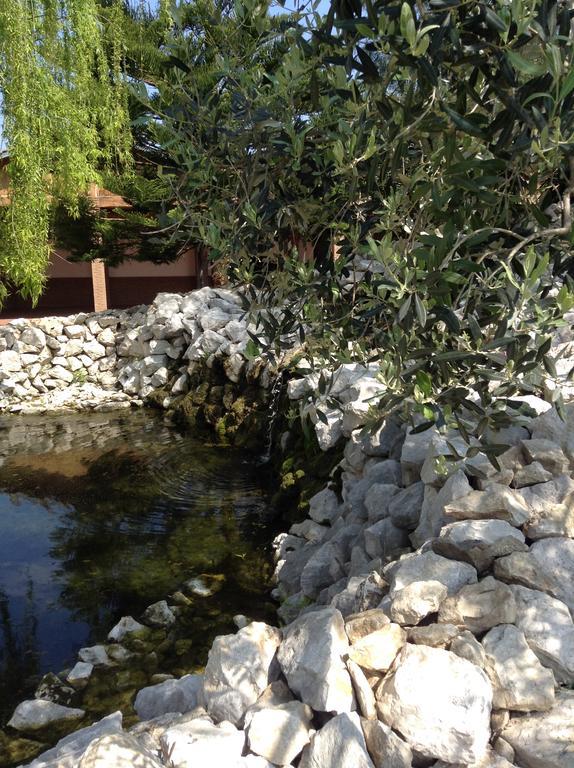Tenuta Sciacca Villa Falciano del Massico Buitenkant foto