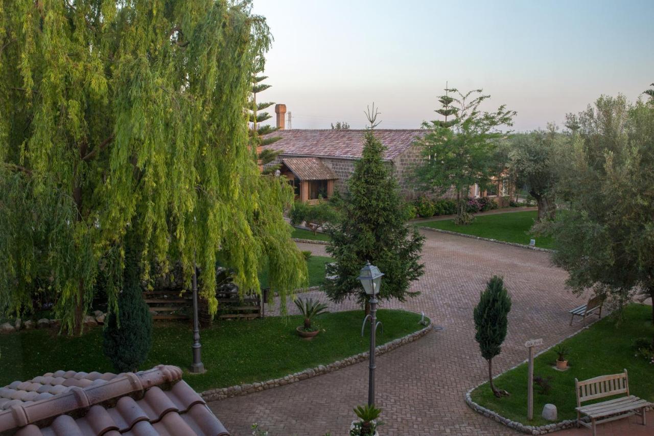 Tenuta Sciacca Villa Falciano del Massico Buitenkant foto